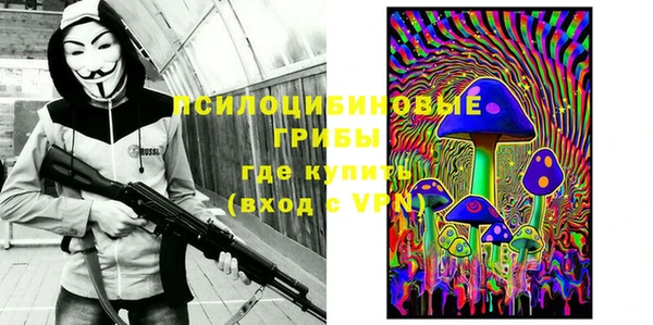 молекула духа Нефтегорск