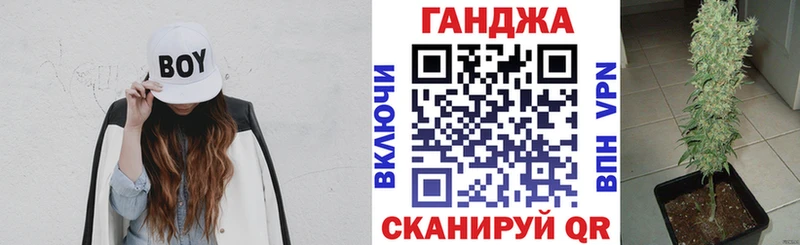 Бошки марихуана OG Kush  Купить где  Тверь 